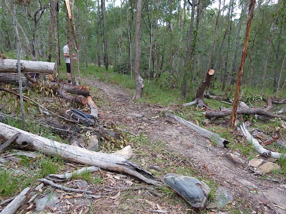 P1160445.jpg